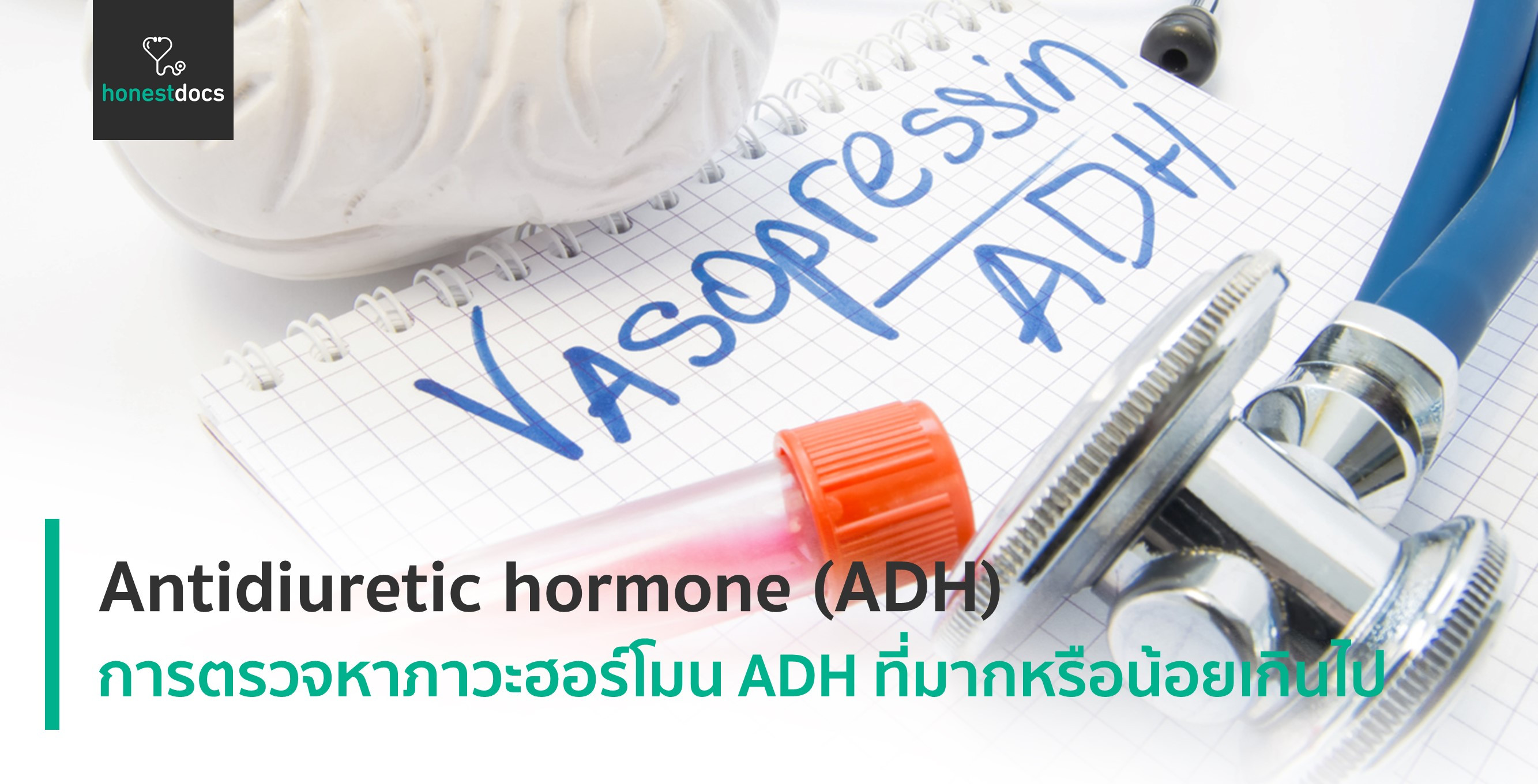 What Is The Main Action Of Antidiuretic Hormone