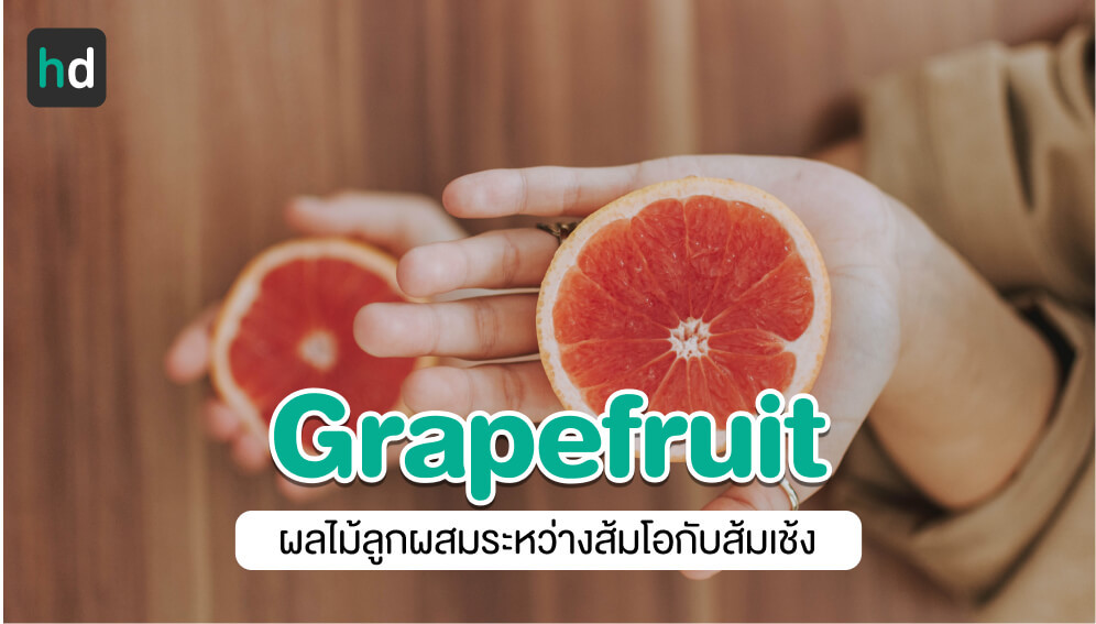 Grapefruit คืออะไร? HD สุขภาพดี เริ่มต้นที่นี่