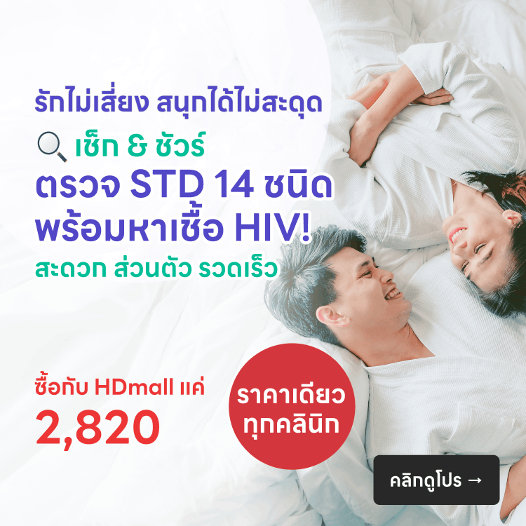 STD - HDmall+