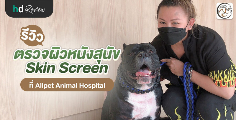รีวิว ตรวจผิวหนังสุนัข Skin Screen ที่ Allpet Animal Hospital
