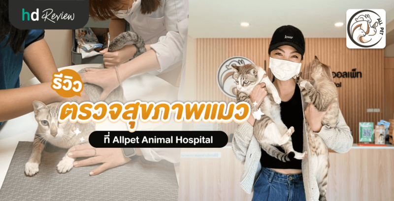 รีวิว ตรวจสุขภาพแมว ที่ Allpet Animal Hospital