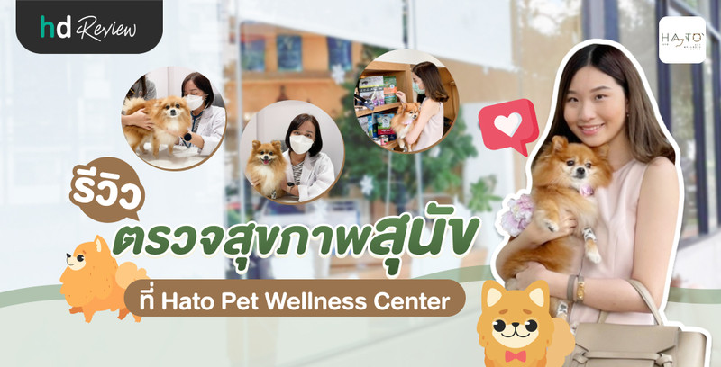 รีวิว ตรวจสุขภาพสุนัขประจำปี ที่ Hato Pet Wellness Center