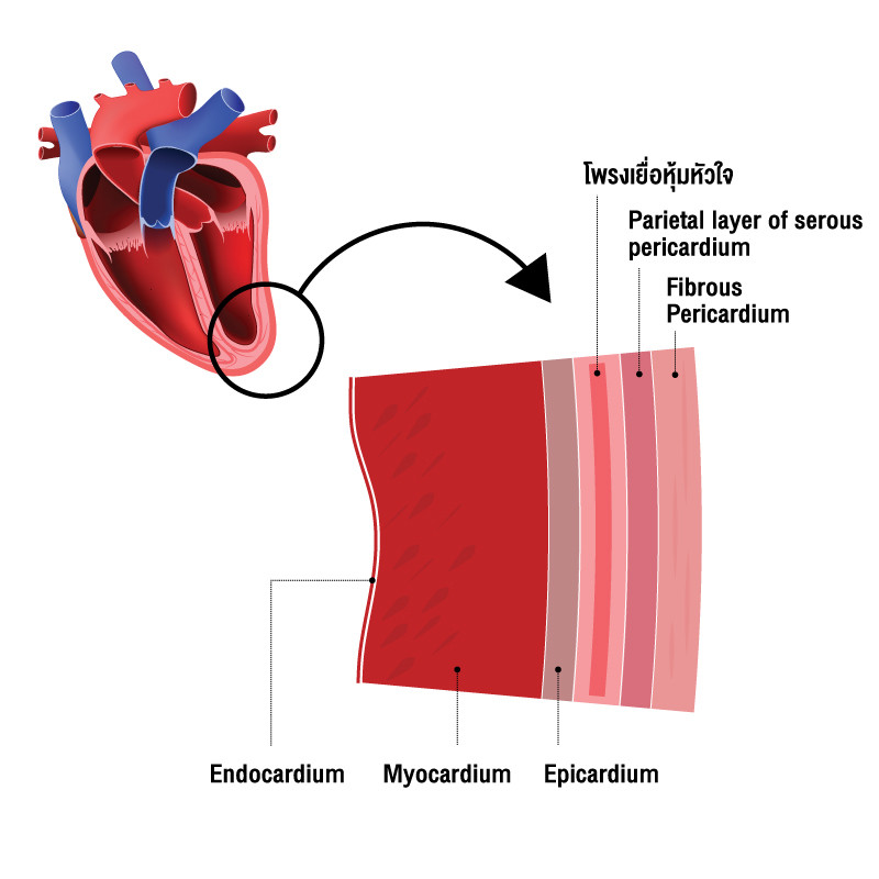 content heart 01