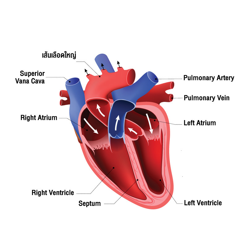 content heart 02