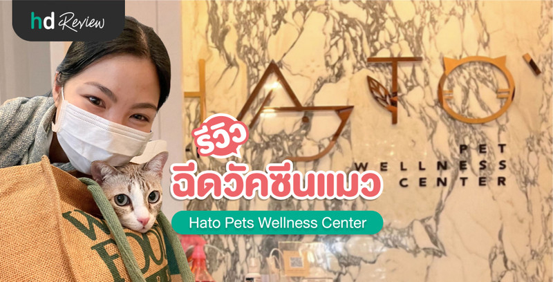 รีวิว ฉีดวัคซีนแมว ที่ Hato Pets Wellness Center