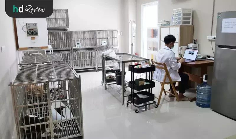 ห้องพักฟื้นสัตว์หลังผ่าตัด ที่ โรงพยาบาลสัตว์ออลเพ็ท