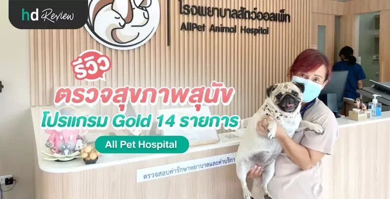 รีวิว ตรวจสุขภาพสุนัข โปรแกรม Gold 14 รายการ ที่ All Pet Hospital