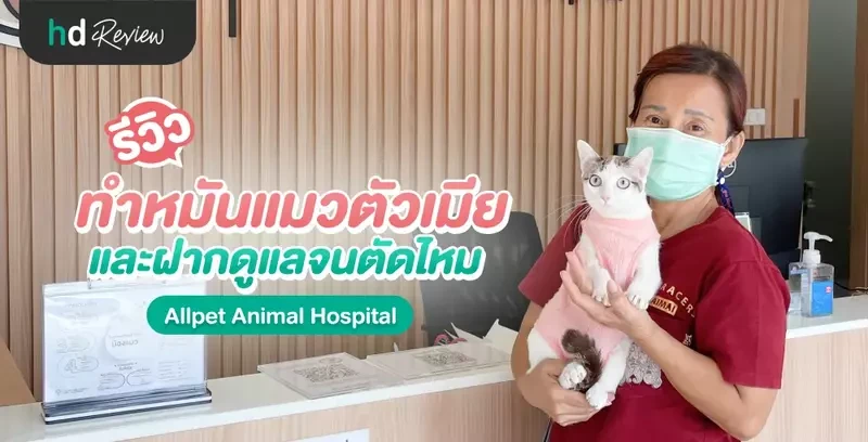 รีวิว ทำหมันและฝากดูแลจนตัดไหม สำหรับแมวตัวเมีย ที่ Allpet Animal Hospital