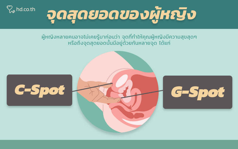 ผู้หญิงช่วยตัวเอง แบบไม่สอดใส่ ถึงจุดสอดยอดได้ไหม? | Hd สุขภาพดี  เริ่มต้นที่นี่