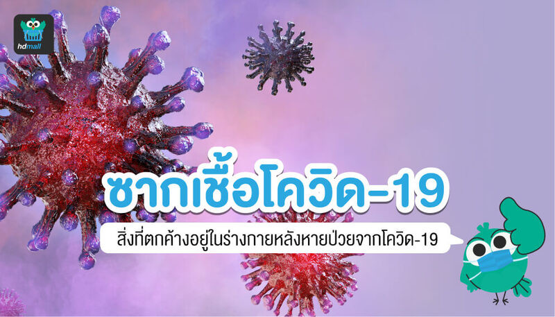 ซากเชื้อโควิด-19 คืออะไร? อันตรายไหม? ยังแพร่เชื้อได้ไหม? อยู่ในร่างกายได้กี่วัน? จะรู้ได้อย่างไรว่า เป็นซากเชื้อโควิด-19? หลังหายป่วยจากโควิด-19 แล้ว จำเป็นต้องตรวจหา RT-PCR ไหม?