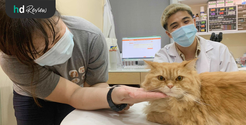 รีวิว ตรวจสุขภาพแมว ที่ Hato Pet Wellness